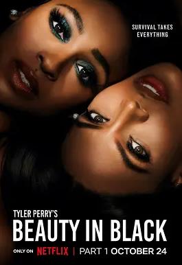 黑色丽人第一季全集