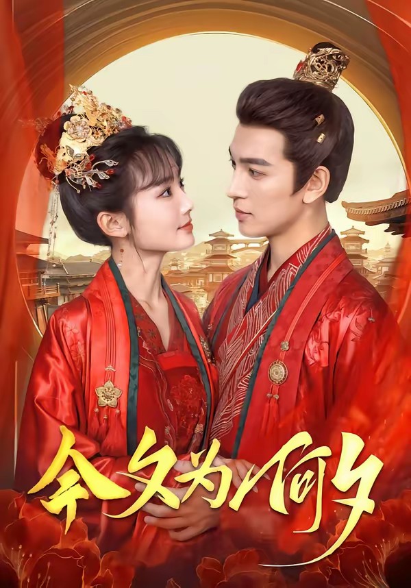 今夕为何夕全集