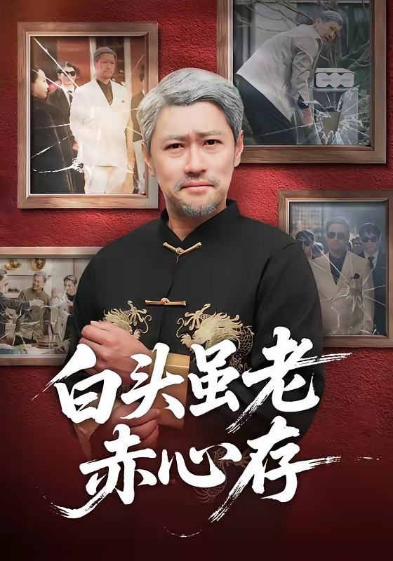 白头虽老赤心存全集