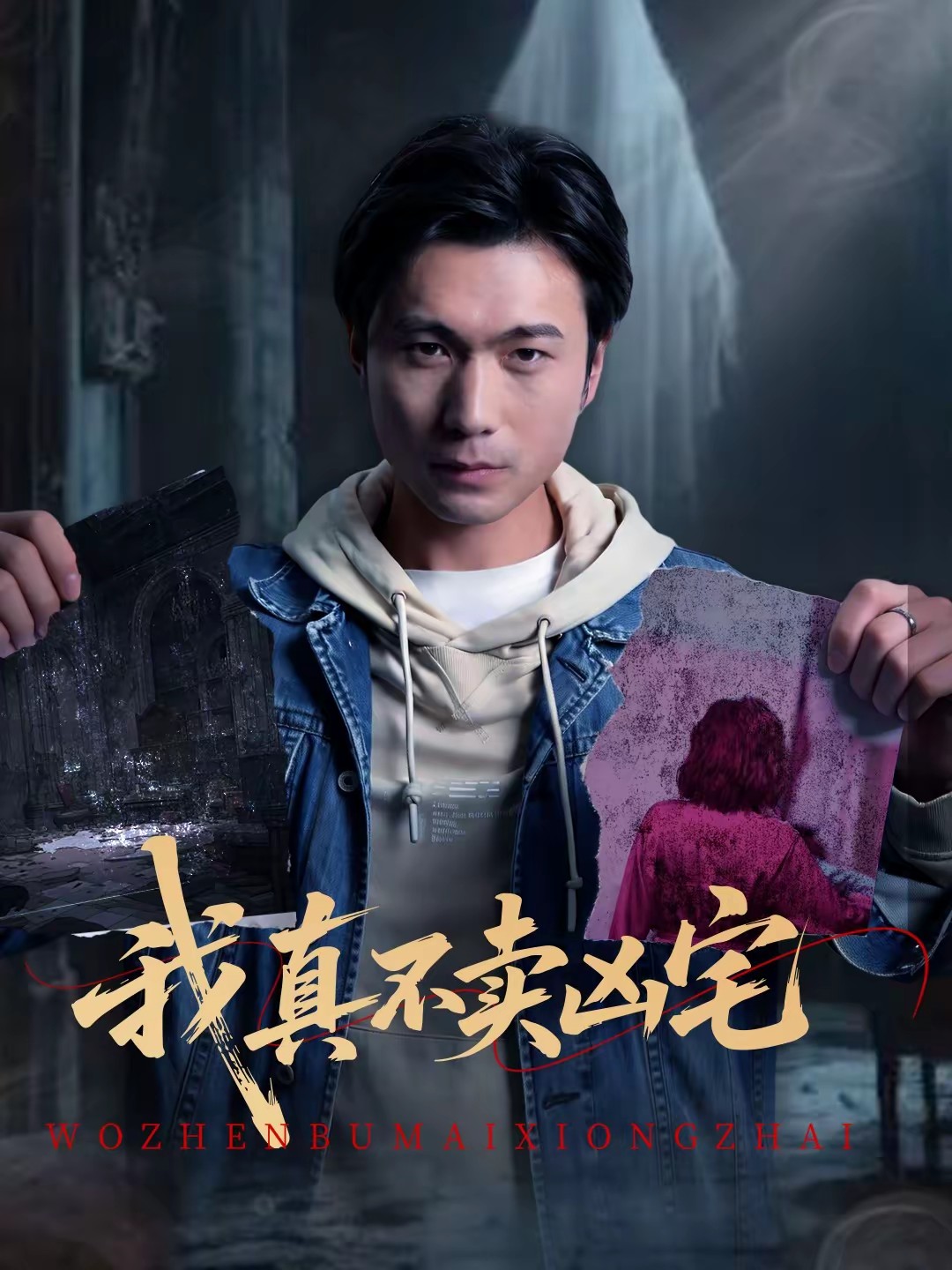 我真不卖凶宅全集