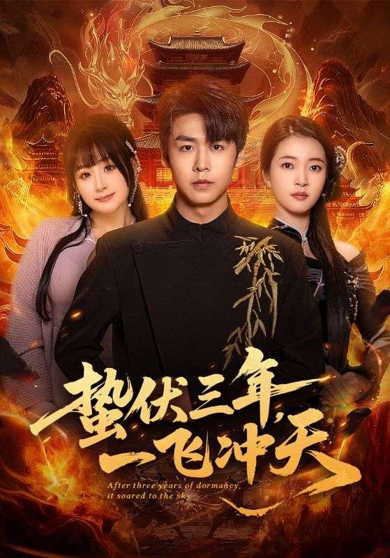 蛰伏三年，一飞冲天全集