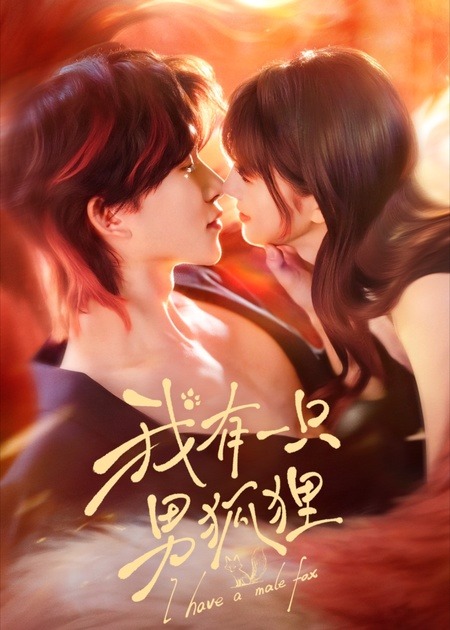 我有一只男狐狸全集