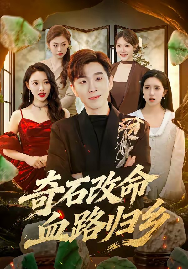 奇石改命血路归乡全集