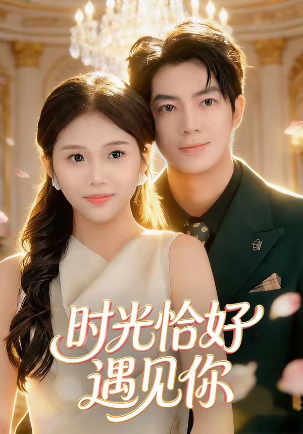 时光恰好遇见你全集