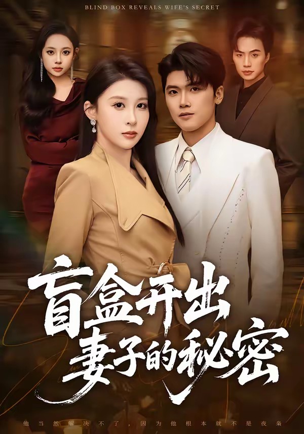 盲盒开出妻子的秘密全集