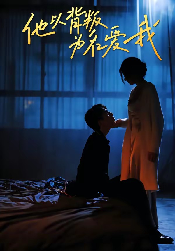 他以背叛为名爱我全集