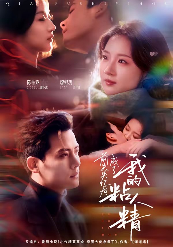 前夫失忆后，成了我的粘人精全集