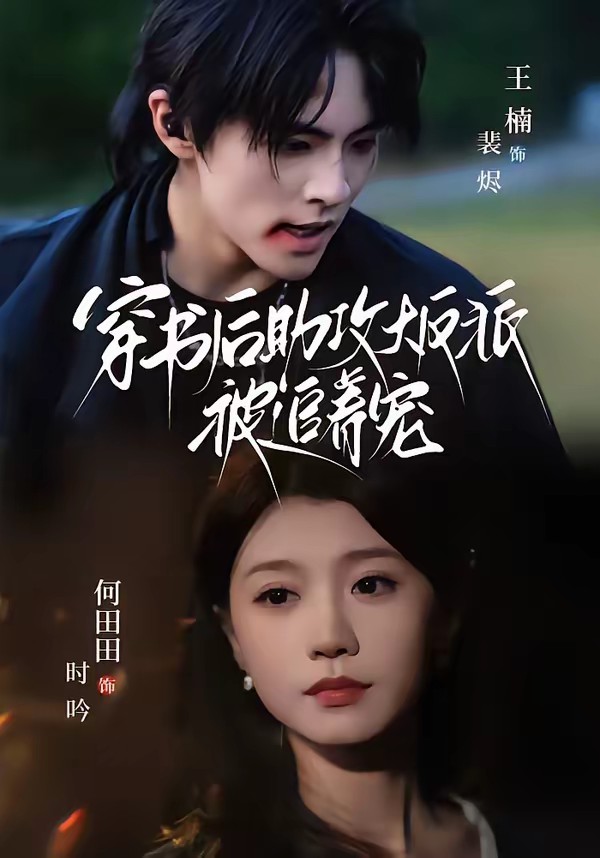 穿书后助攻大反派被追着宠全集