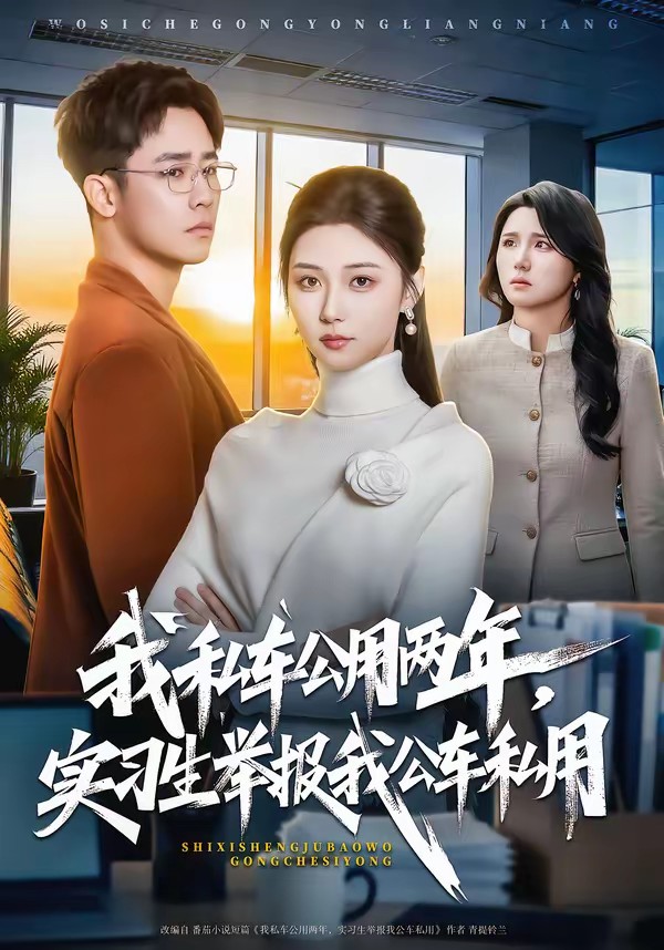 我私车公用两年，实习生举报我公车私用全集