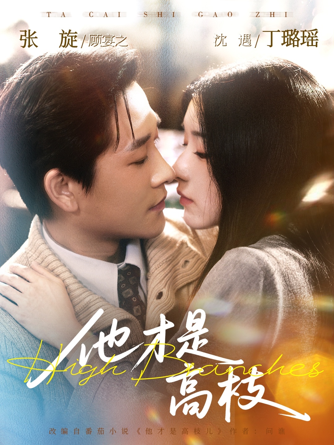 他才是高枝全集