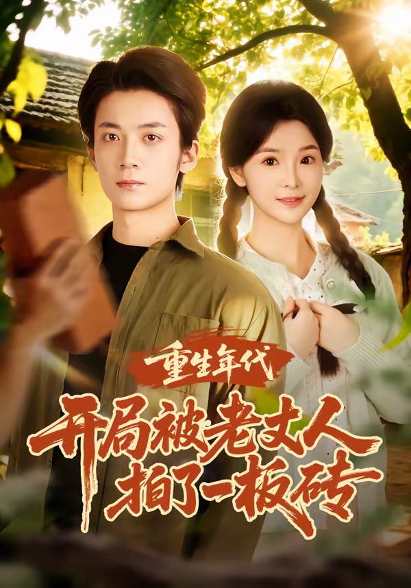 重生年代开局被老丈人拍了一板砖全集