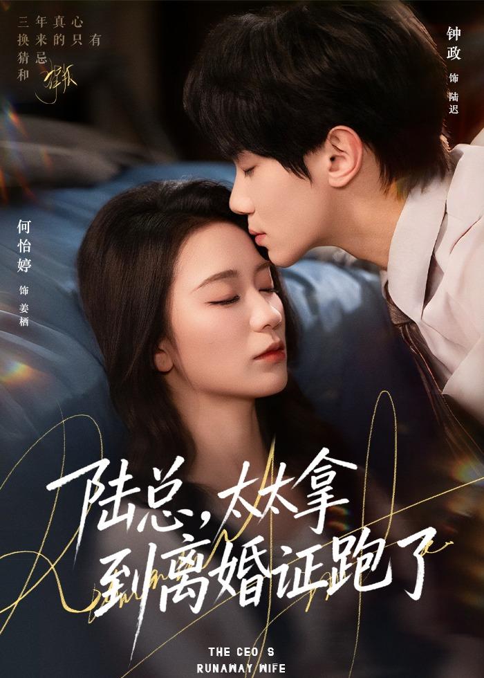 陆总，太太拿到离婚证跑了全集