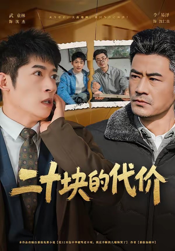 二十块的代价全集