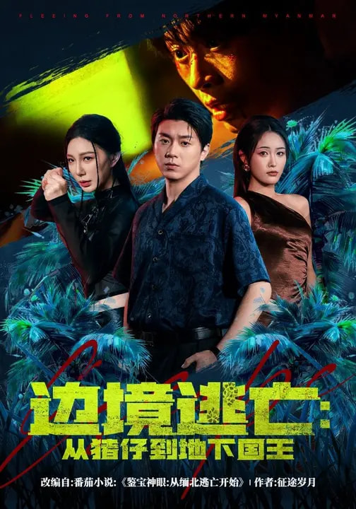 边境逃亡：从猪仔到地下国王全集