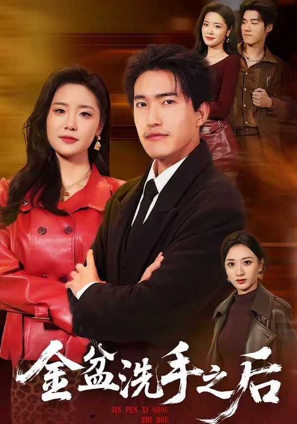 金盆洗手之后全集