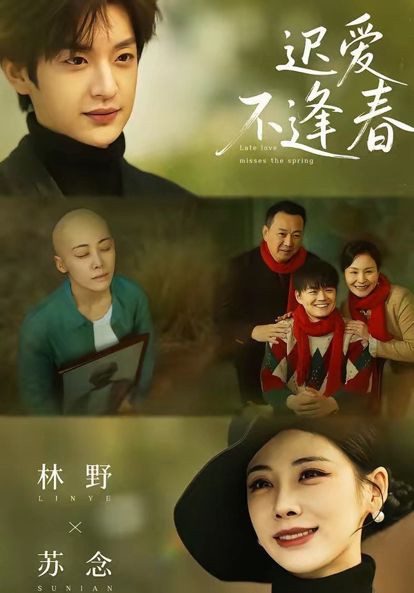 迟爱不逢春全集