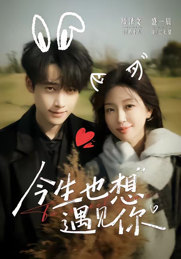 今生也想遇见你全集
