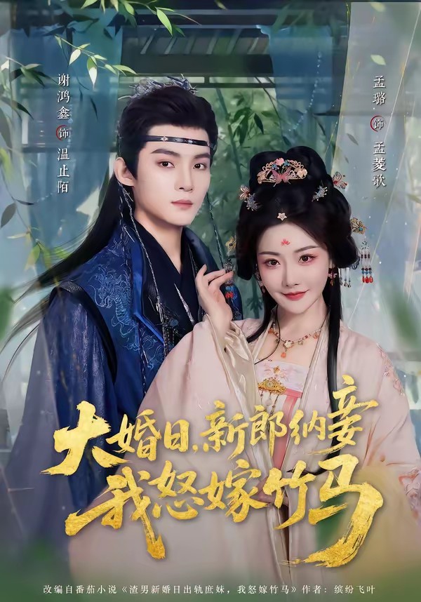 大婚日，新郎纳妾我怒嫁竹马全集