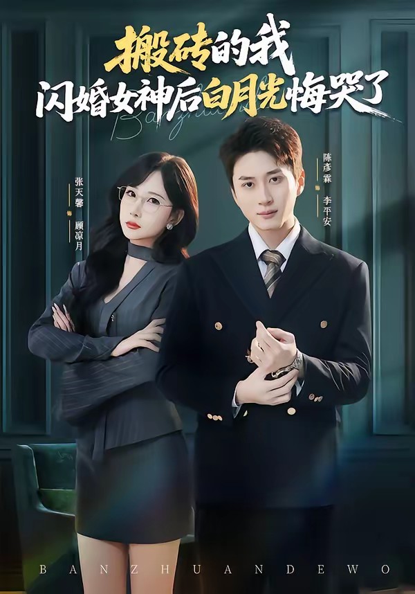 搬砖的我，闪婚女神后白月光悔哭了全集