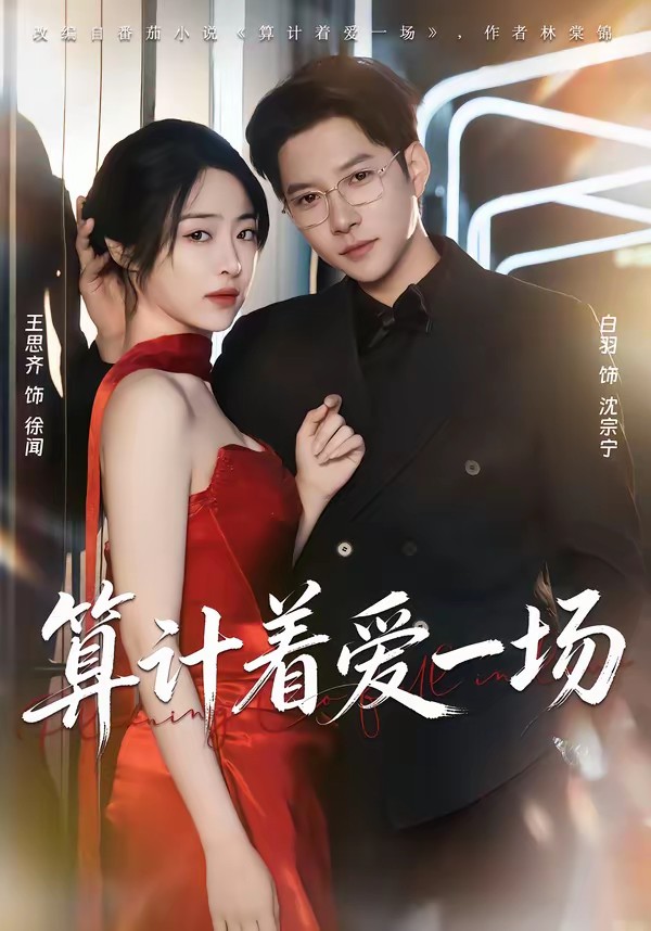 算计着爱一场全集