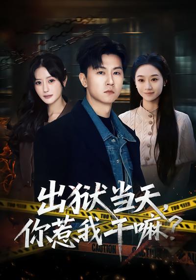 出狱当天，你惹我干嘛？全集