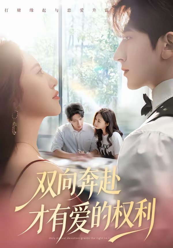 双向奔赴才有爱的权利全集