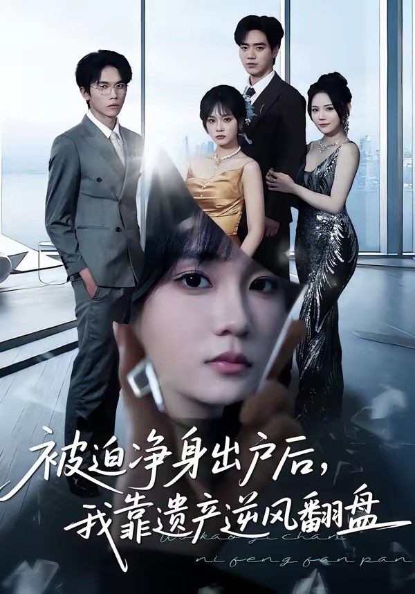 被迫净身出户后，我靠遗产逆风翻盘全集