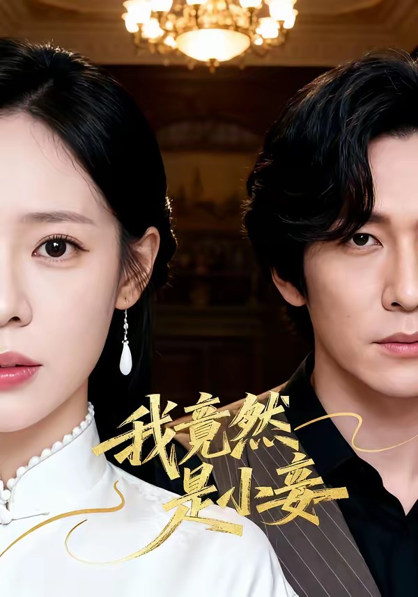 我竟然是小妾全集