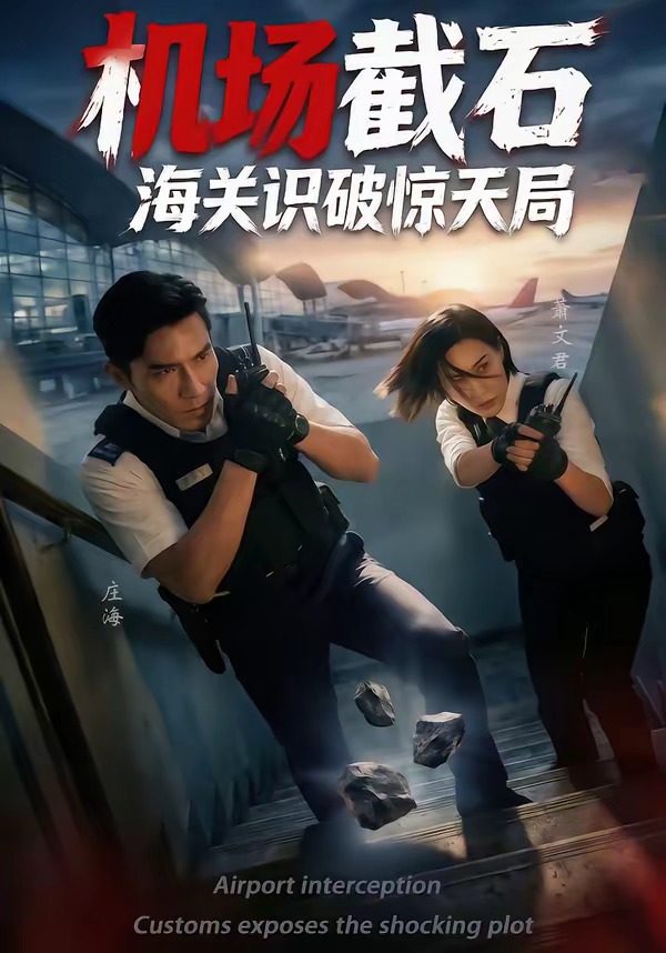 机场截石，海关识破惊天局全集