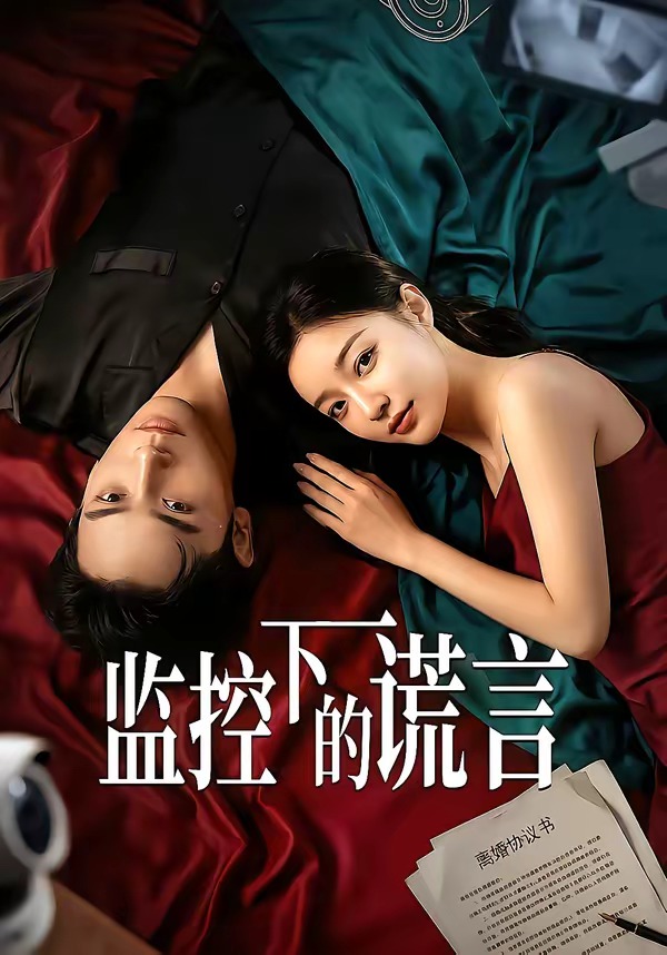 监控下的谎言全集