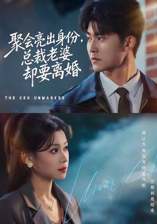 聚会亮出身份，总裁老婆却要离婚全集