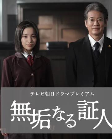 无垢的证人全集