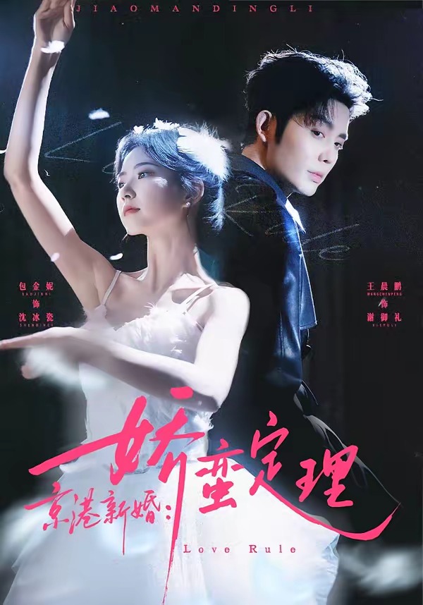 京港新婚：娇蛮定理全集