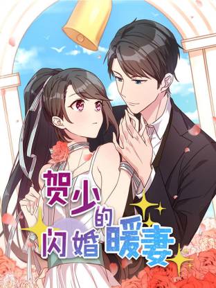贺少的闪婚暖妻全集