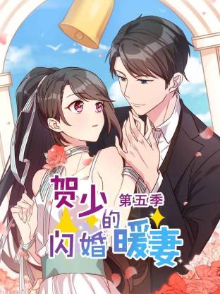 贺少的闪婚暖妻第五季全集