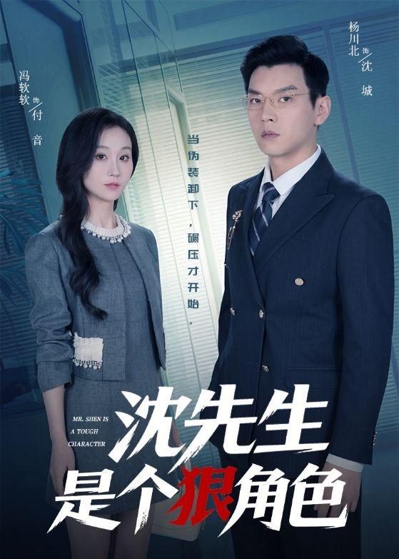沈先生是个狠角色全集