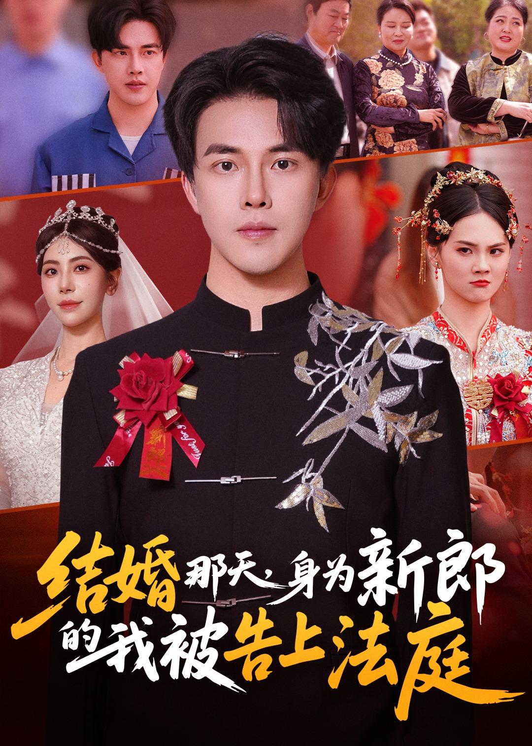 结婚那天，身为新郎的我被告上法庭全集