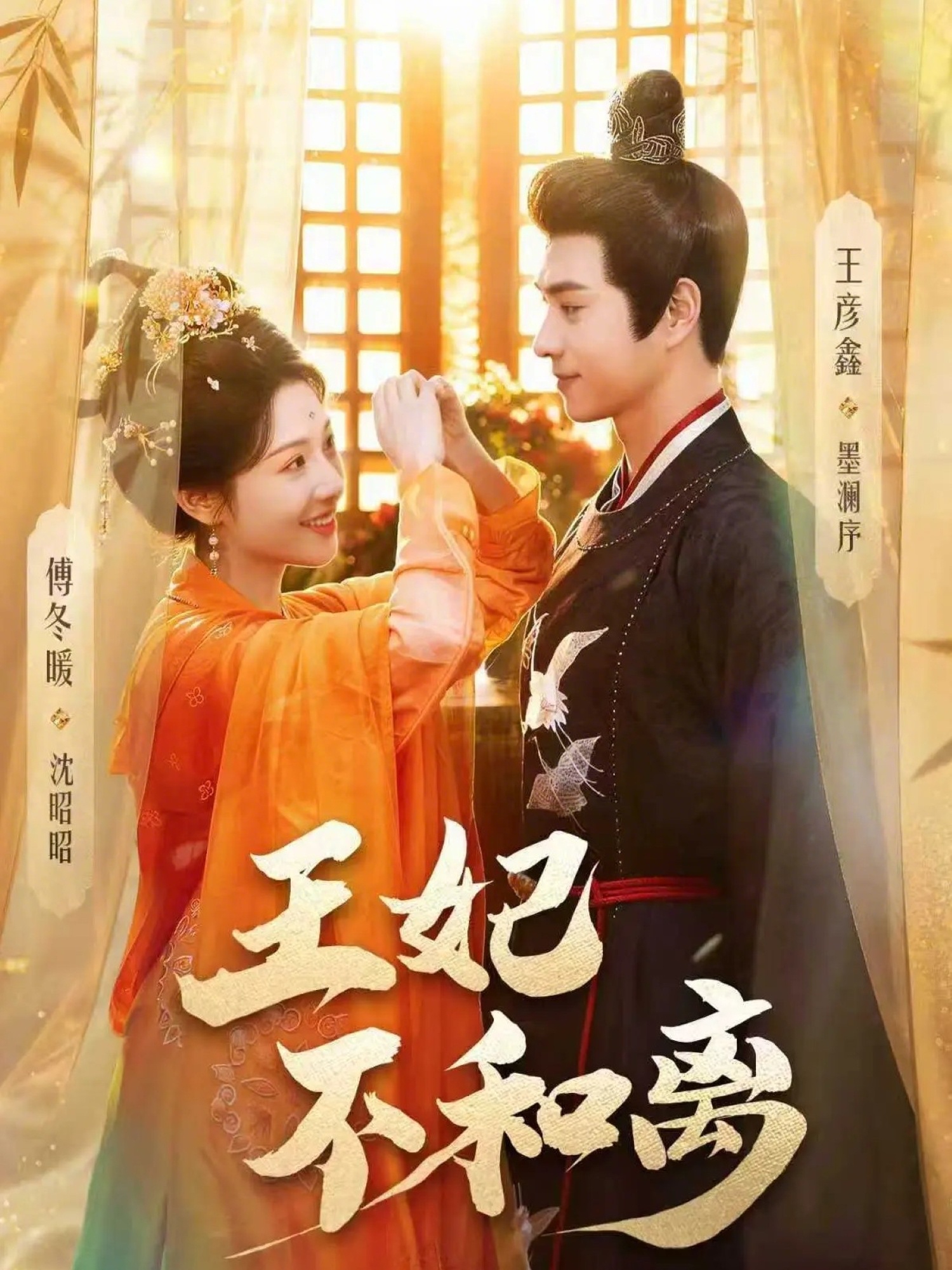 王妃不和离全集