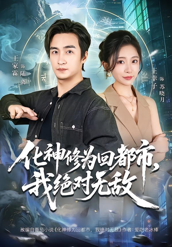 化神修为回都市，我绝对无敌全集