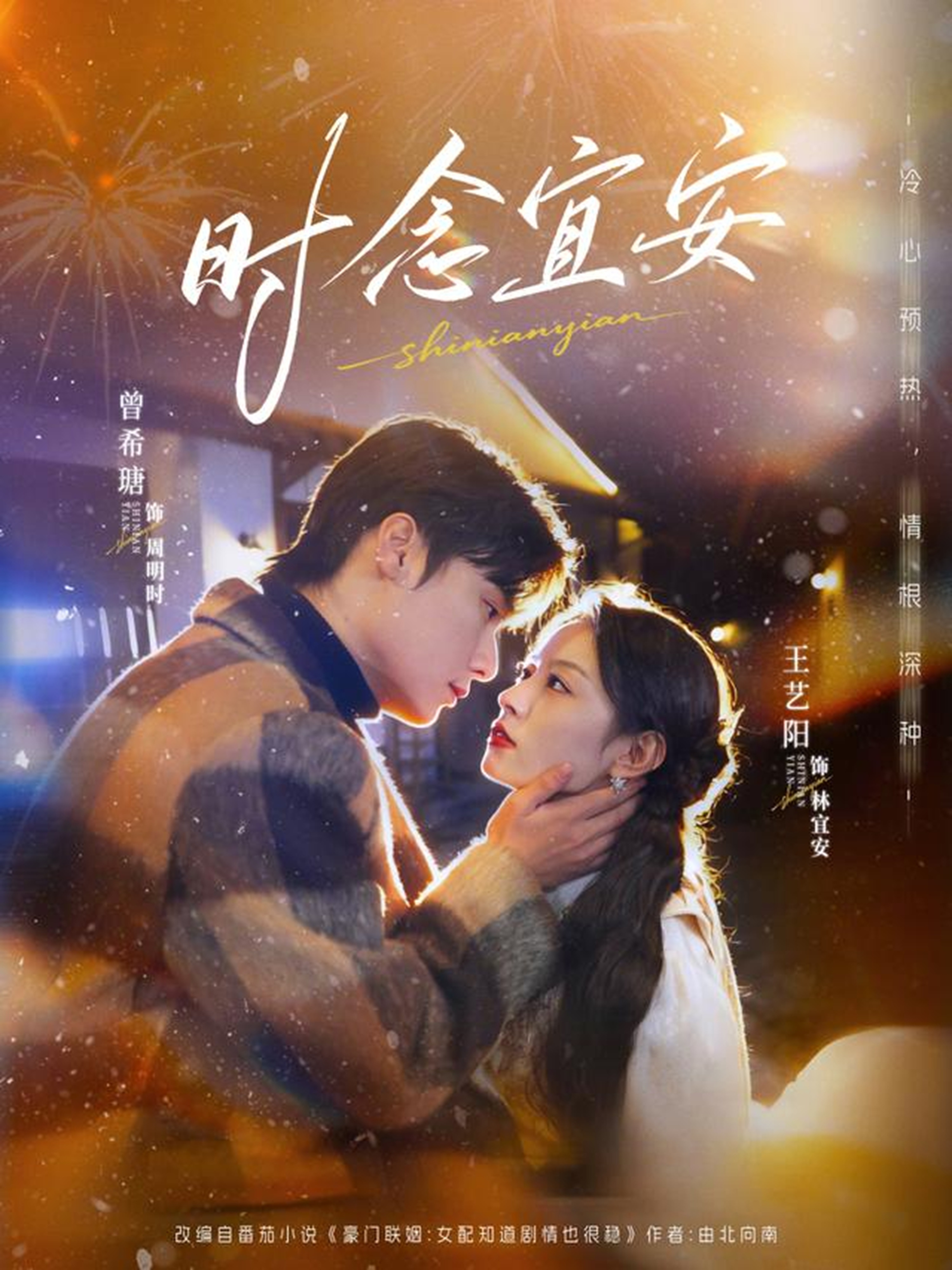 时念宜安全集