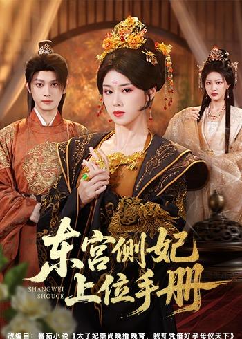 东宫侧妃上位手册全集