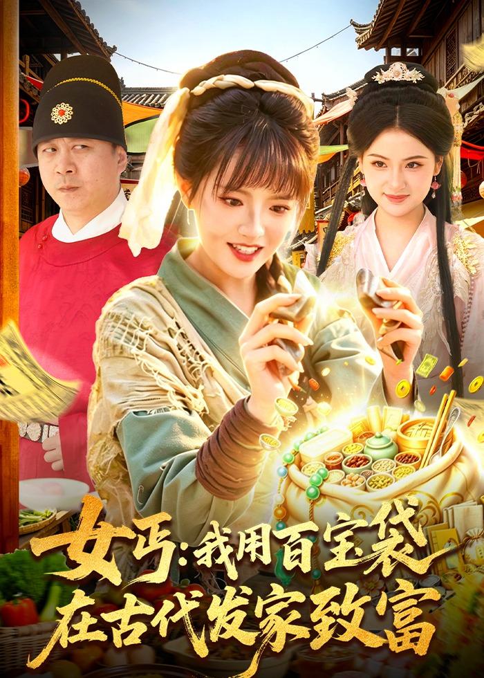 女丐：我用百宝袋在古代发家致富全集