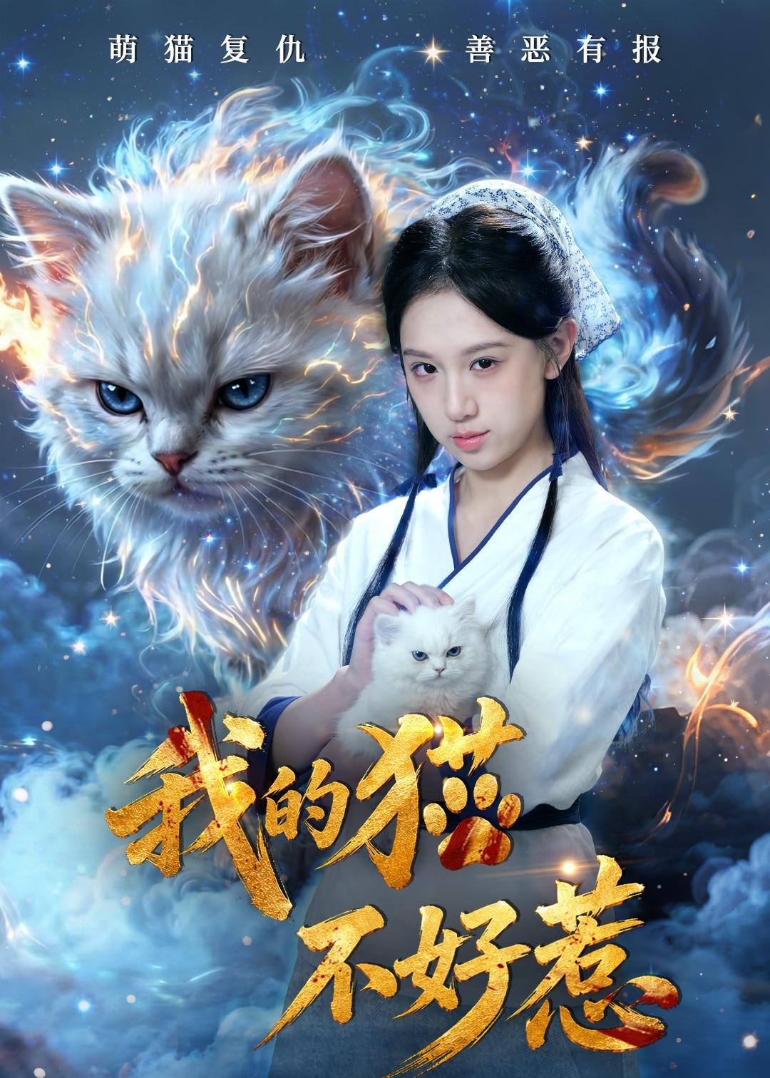 我的猫不好惹全集