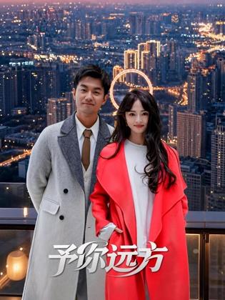 予你远方全集