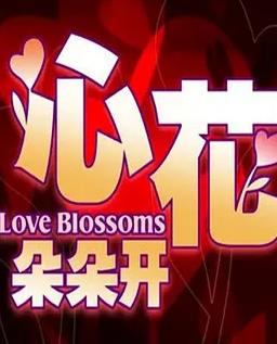 心花朵朵开全集