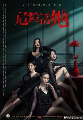 危险的她全集