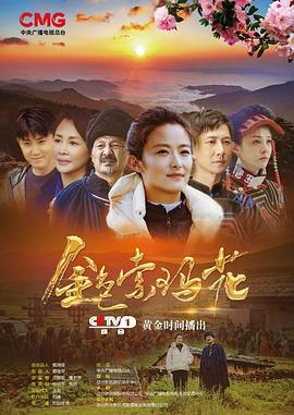 金色索玛花(2020)全集