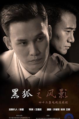 黑狐之风影全集