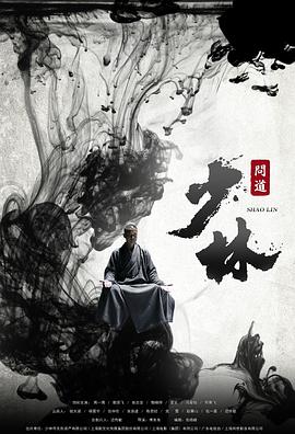 少林问道全集