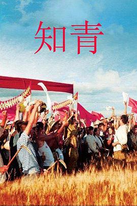知青2012全集